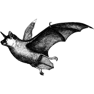 huadongcable profile picture