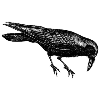 AjayTools profile picture