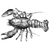 excessive profile image