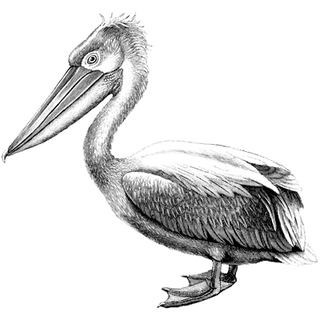 Hermesreplicabags profile picture