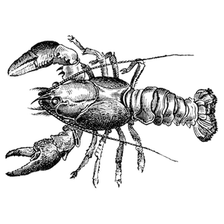 Tiranga Game profile picture