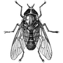 qbisinc profile image