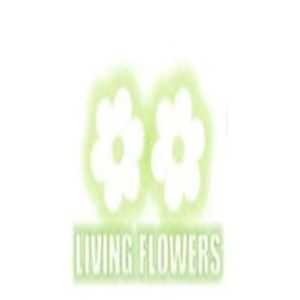 livingflowers profile picture
