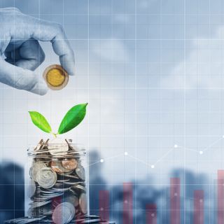 401k Investment Advisor Kauai, HI profile picture