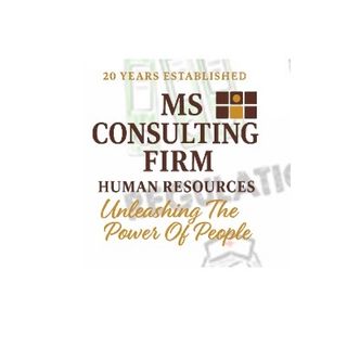 MS Consulting Firm profile picture