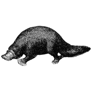 Chrome Hearts Jeans profile picture