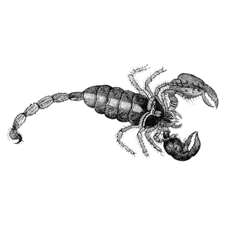 xaverec profile picture