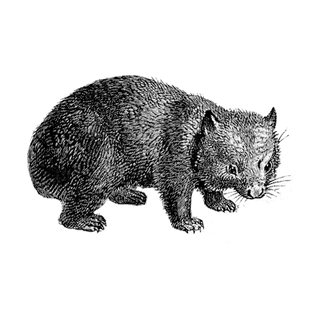 Panditg@1 profile picture