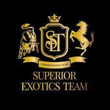 Set Motor Sports profile picture