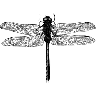 ganesh idol for car dashboard profile picture