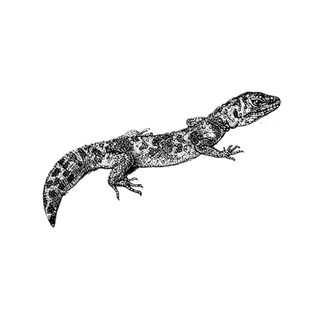 brian jason profile picture