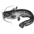rakio profile image