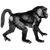 desertweird profile image