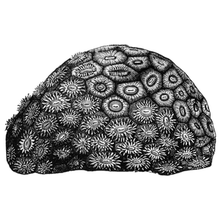 Deepak Arrora profile picture