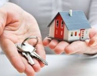 Property4us profile picture