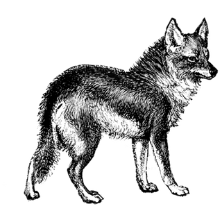 Reeltor 001 profile picture