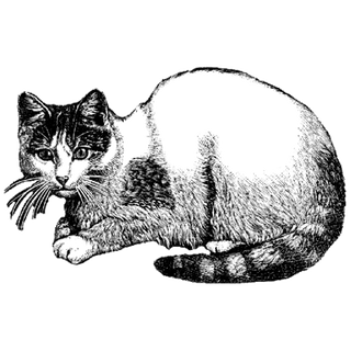 artarium12 profile picture