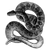 jacquelineschwartz profile image