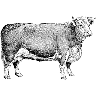 Digital wellknox Rahab Centre profile picture