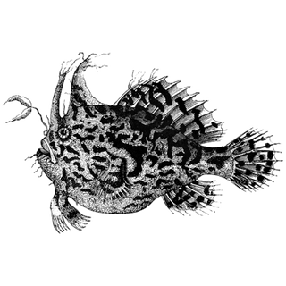 viatrade profile picture