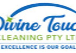 Divine Touch Cleaning profile picture
