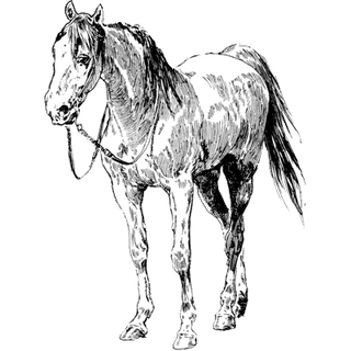 Fashion designing courses profile picture