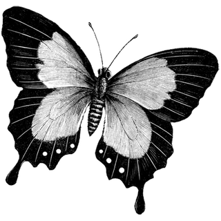 Thread lift treatment in bangalore profile picture