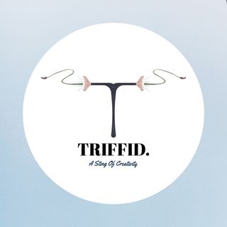 Triffid Marketing Agency profile picture