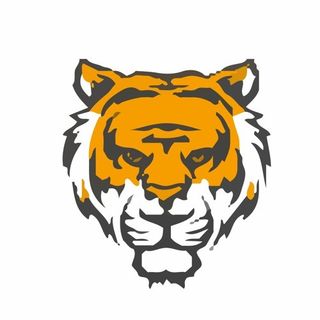 Tiger exch profile picture