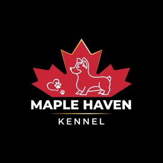 Maple Haven Kennel profile picture