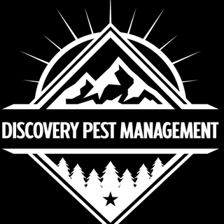 Discovery Pests profile picture
