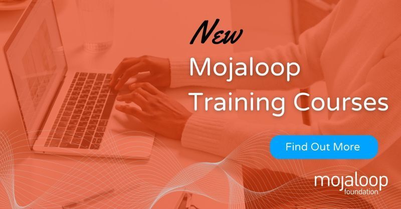 Cover image for Explore Our Two New Mojaloop Training Program Courses: HUB 204 & DFSP 204