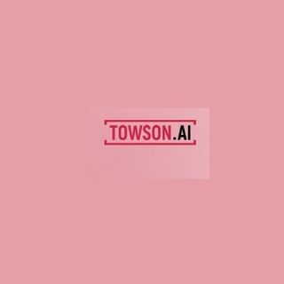 Towson Nederland BV profile picture
