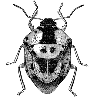 ReeltorPlot profile picture