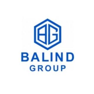 Balind Group profile picture