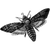 gerlatomas profile image