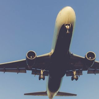 novajonas profile picture