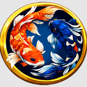 arushokisun profile picture