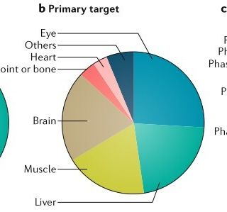 thomas schmitt profile picture