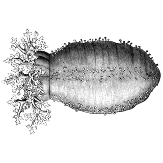 aemrecarter profile picture