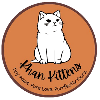 khankittensin@gmail.com profile picture