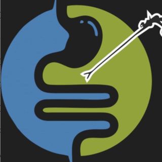 best surgical gastroenterologist in hyderabad profile picture