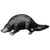 tashiikknight profile image