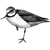 shibly profile image