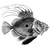 loidforger profile image