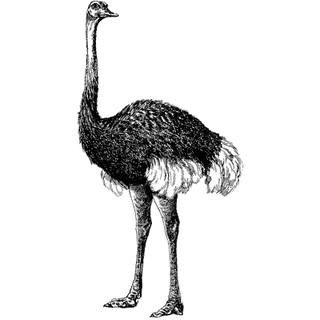 Appinventiv profile picture