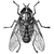 matildae profile image