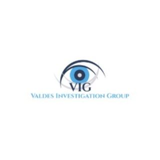 Valdes Investigation Group profile picture