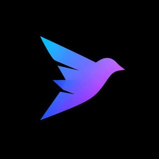 Xholic AI profile picture