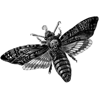 katarina8 profile picture